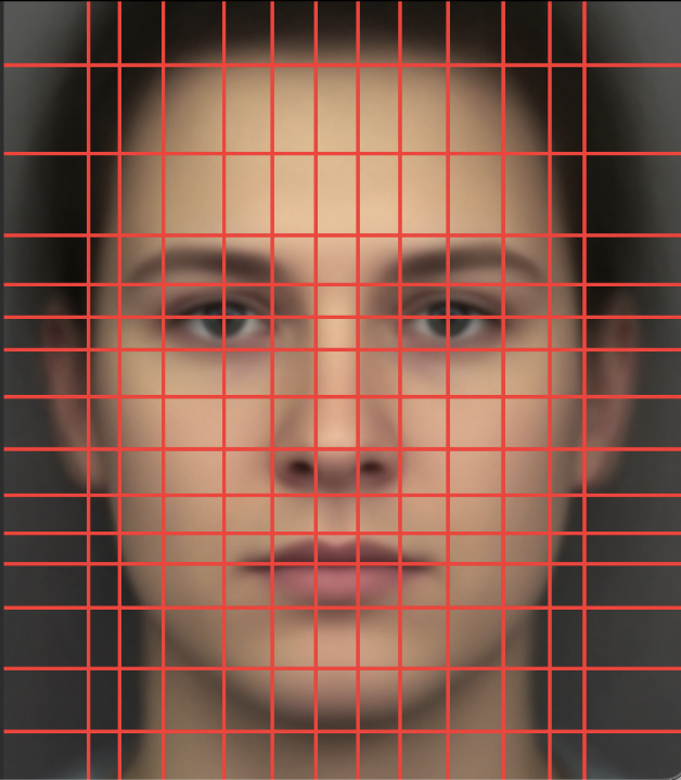 neutral face with it coding grid
